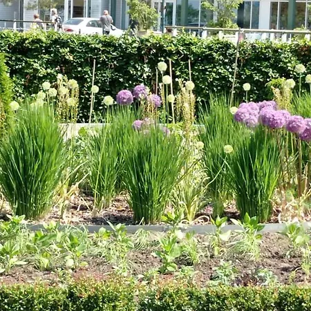 Trzy Korony Widok Na Morze Sea View Hotel